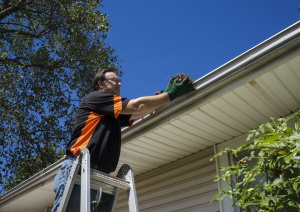 Eavestrough Clearing Service