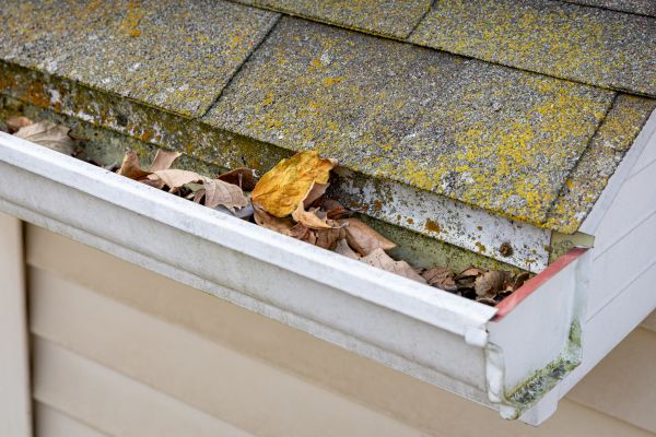 Garage Gutter Cleaning Service