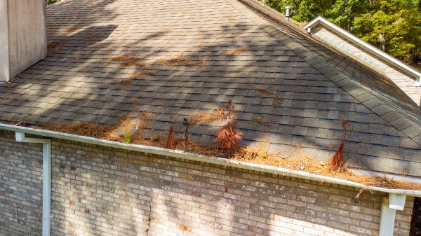 Gutter Pine Needle Removal Service