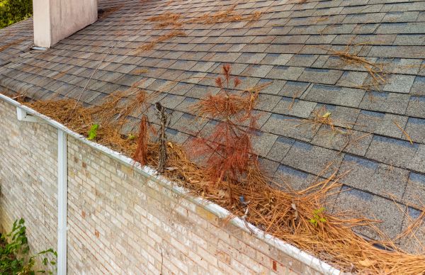 Pine Straw Gutter Clearing